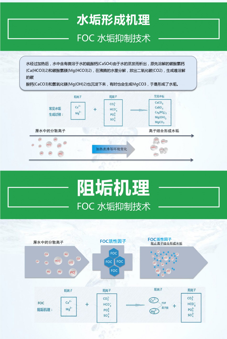 详情页_19.jpg